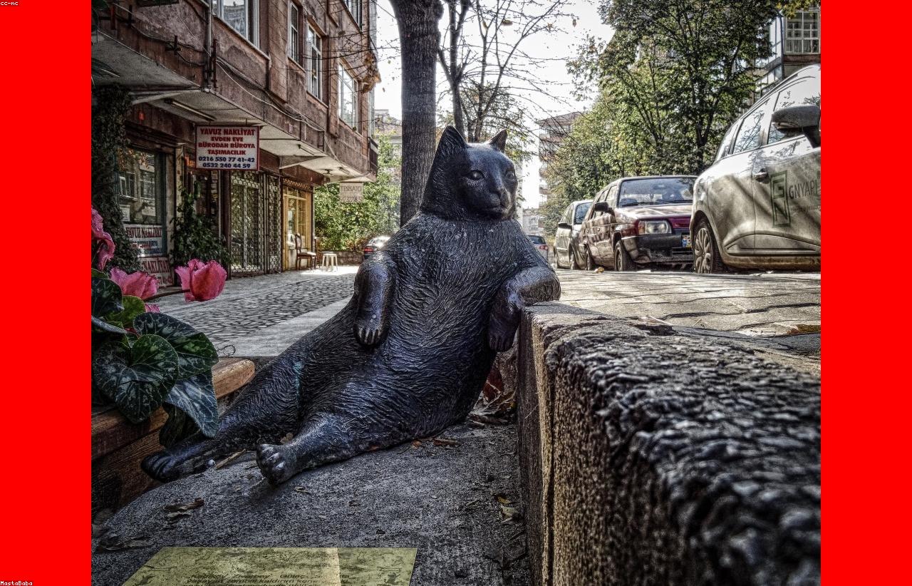 Tanker fleet and maritime operations